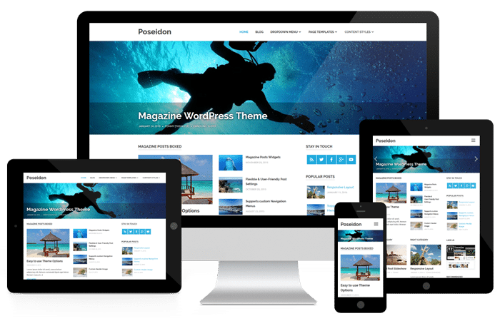 contoh tampilan website